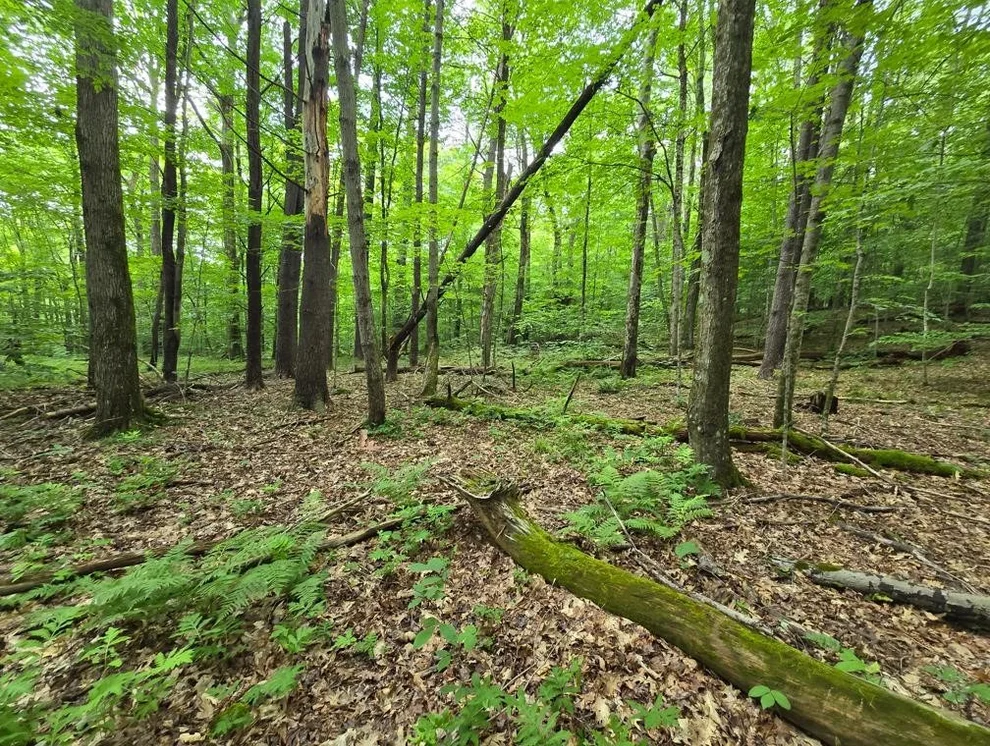 Unit for sale at Lot 37 Chandas Way, Otego, NY 13825