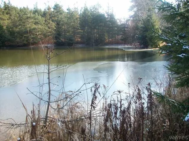 Unit for sale at 0 Us Route 219 N, Ellicottville, NY 14731
