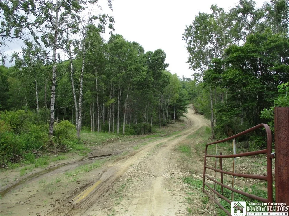 Unit for sale at 0 Mill Street, Wirt, NY 14774