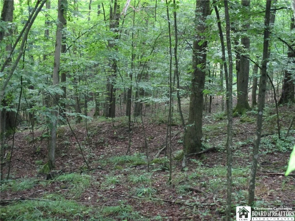 Unit for sale at 0 Crawford Creek Road, Caneadea, NY 14717