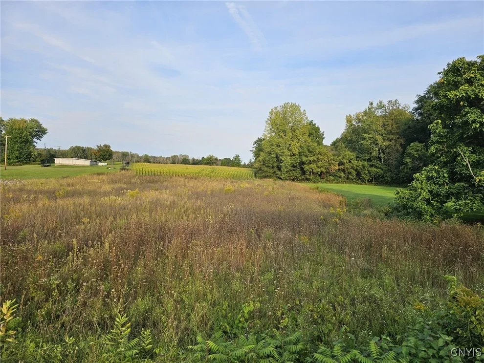 Unit for sale at 0 N Mcdonald Road, Elbridge, NY 13112