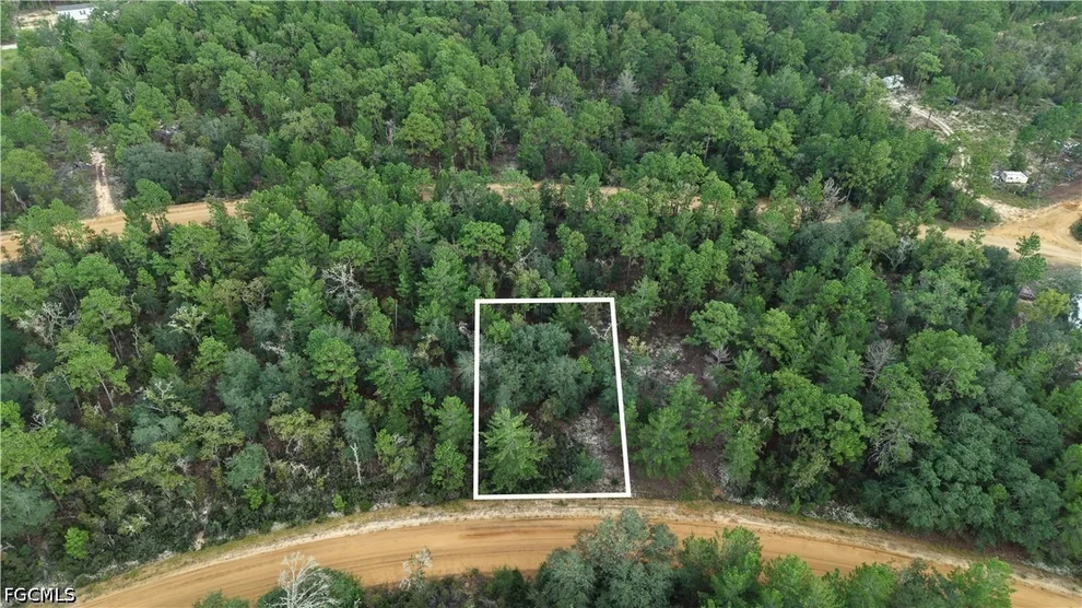 Unit for sale at Crocus Ln, Interlachen, FL 32148