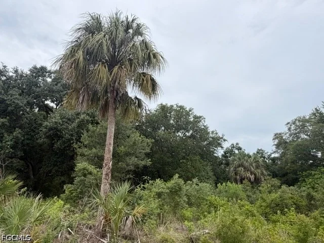 Unit for sale at 1905 Hamilton Avenue, Lehigh Acres, FL 33972