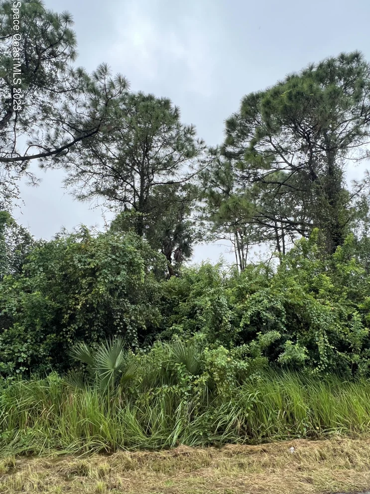 Unit for sale at 708 Pinta Terrace SW, Palm Bay, FL 32908