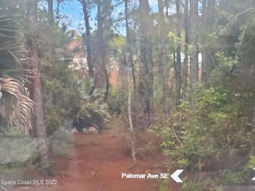 Unit for sale at 2627 Palomar Avenue SE, Palm Bay, FL 32909