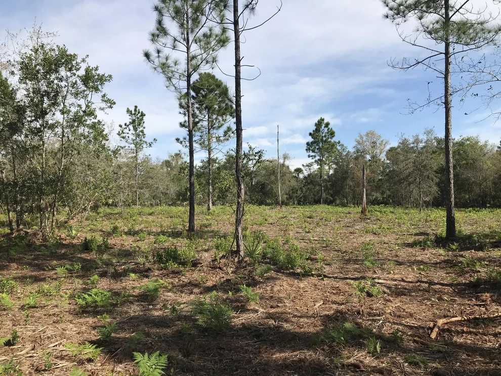 Unit for sale at 0000 Liberty Rd, Mims, FL 32754