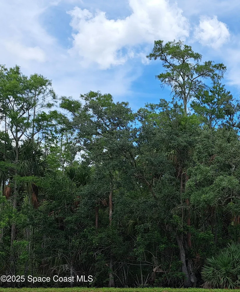 Unit for sale at 000 Balog Court N, Grant, FL 32949