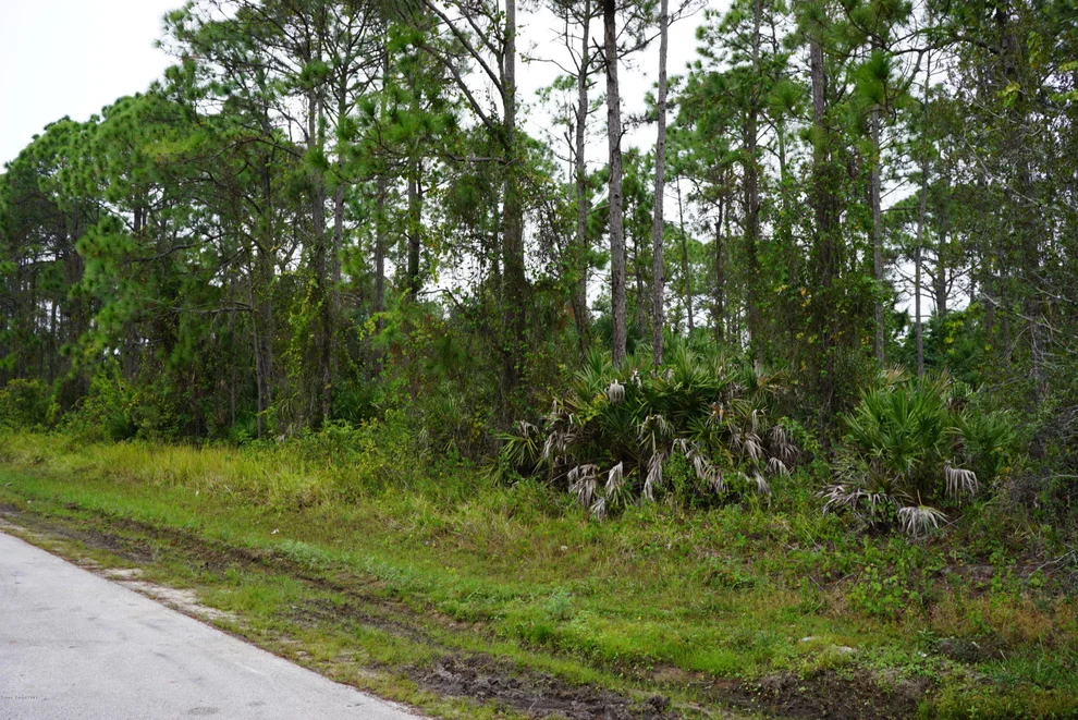 Unit for sale at 857 Hainey Street SW, Palm Bay, FL 32908