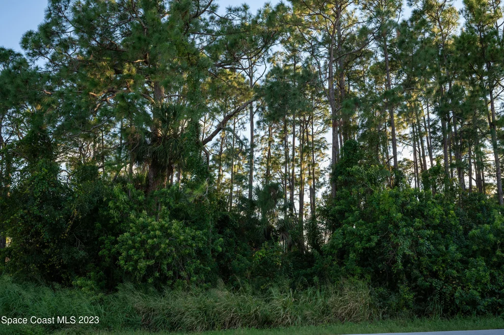 Unit for sale at 1282 Hegira Street NW, Palm Bay, FL 32907