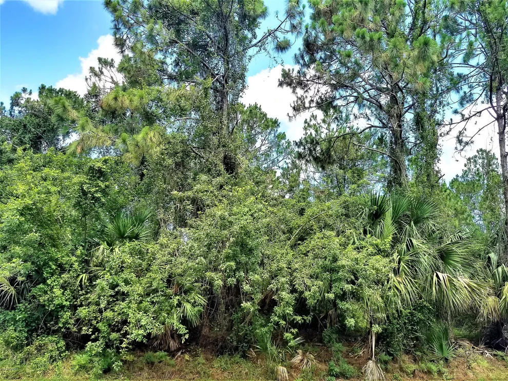 Unit for sale at 354 Kapok Court NW, Palm Bay, FL 32907