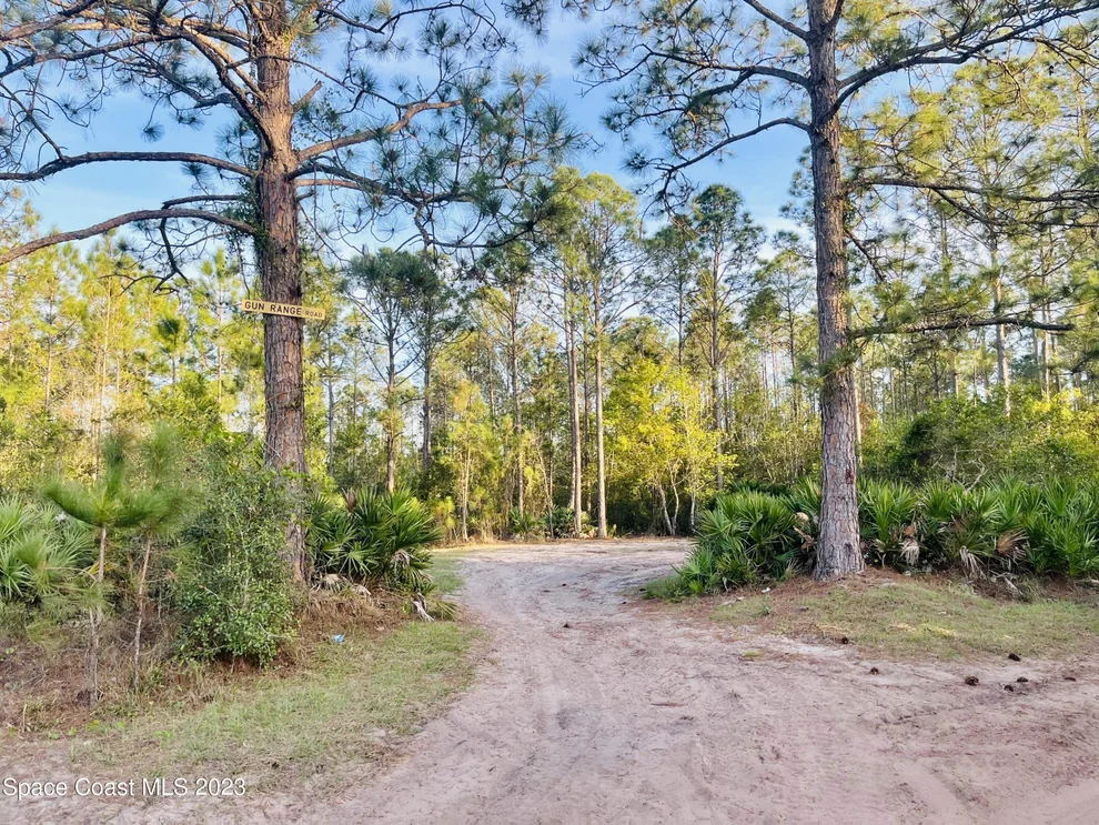 Unit for sale at 0 Holopaw Groves Road, St. Cloud, FL 34771