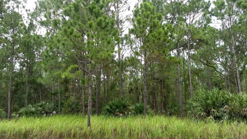 Unit for sale at 221 Falls Church Street SW, Palm Bay, FL 32908