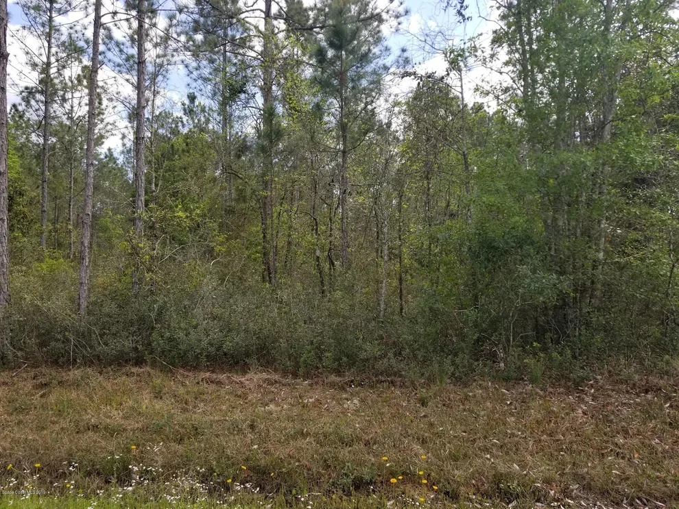 Unit for sale at 4425 Benedict Street, Hastings, FL 32145
