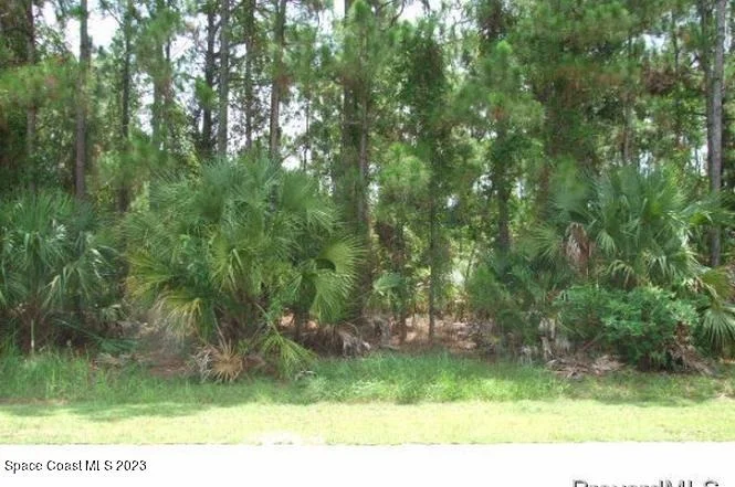 Unit for sale at 209 Deeyan Avenue NW, Palm Bay, FL 32907