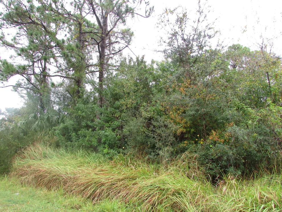 Unit for sale at 297 Joy Haven Avenue NW, Palm Bay, FL 32907