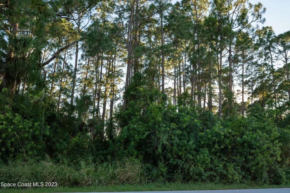 Unit for sale at 1296 Hegira Street NW, Palm Bay, FL 32907