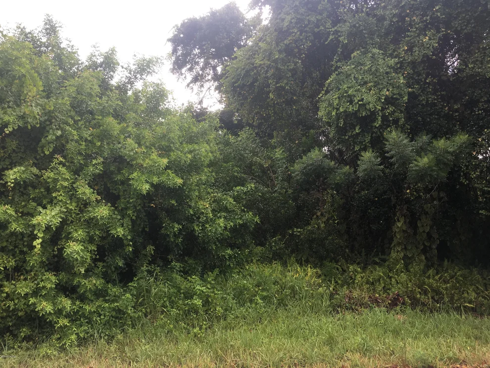 Unit for sale at 1175 Johnston Road SE, Palm Bay, FL 32909