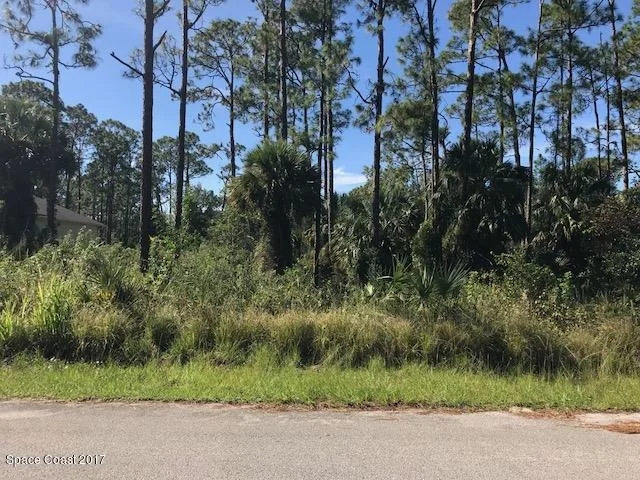 Unit for sale at 620 Cecelia Avenue SE, Palm Bay, FL 32909