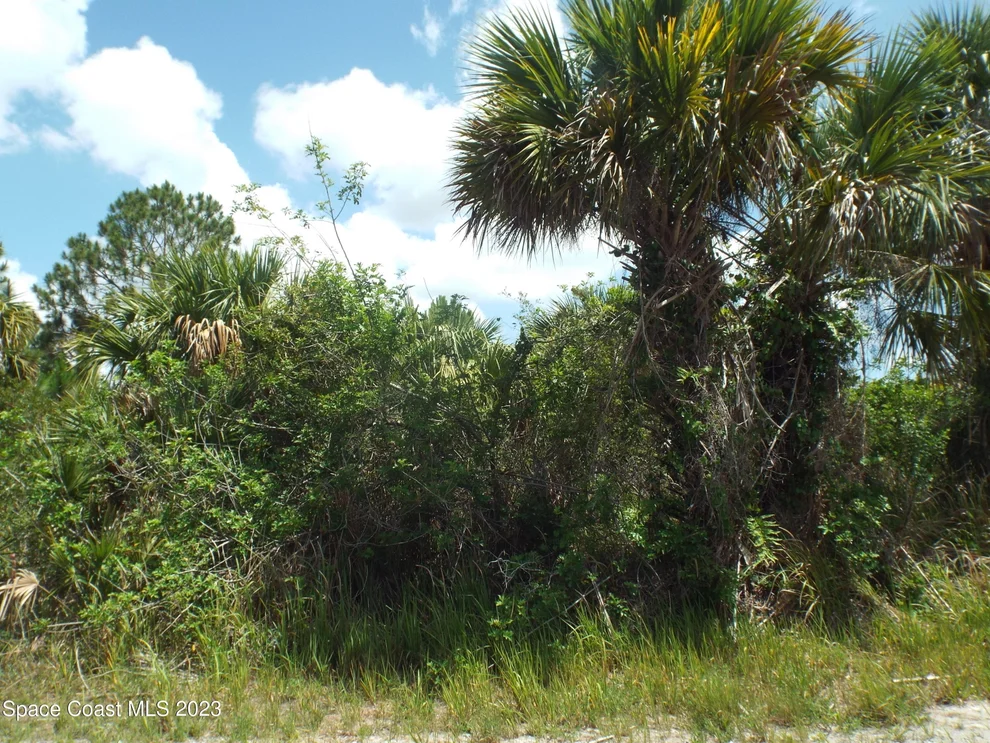 Unit for sale at 491 Forrest Hills Street SW, Palm Bay, FL 32908