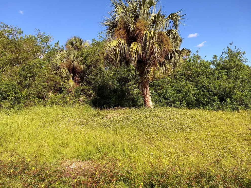 Unit for sale at 1185 Harper Boulevard SW, Palm Bay, FL 32908