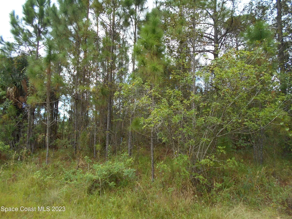 Unit for sale at 525 Higgs Avenue NW, Palm Bay, FL 32907
