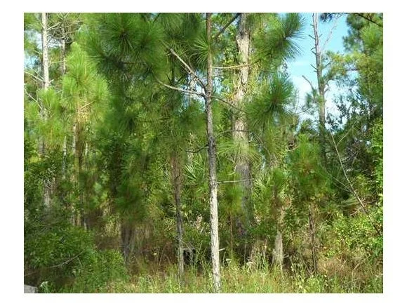 Unit for sale at 884 SE Reading Street, Palm Bay, FL 32909