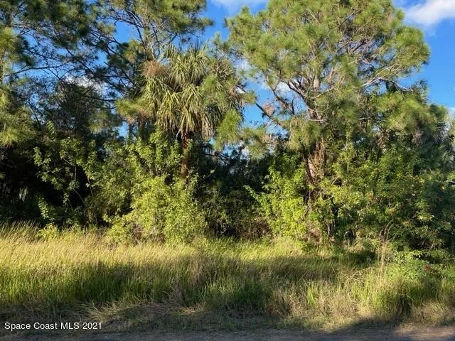Unit for sale at 1066 Siboney Street NW, Palm Bay, FL 32907