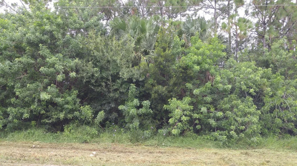 Unit for sale at 0 Dusseldorf Avenue NW, Palm Bay, FL 32907