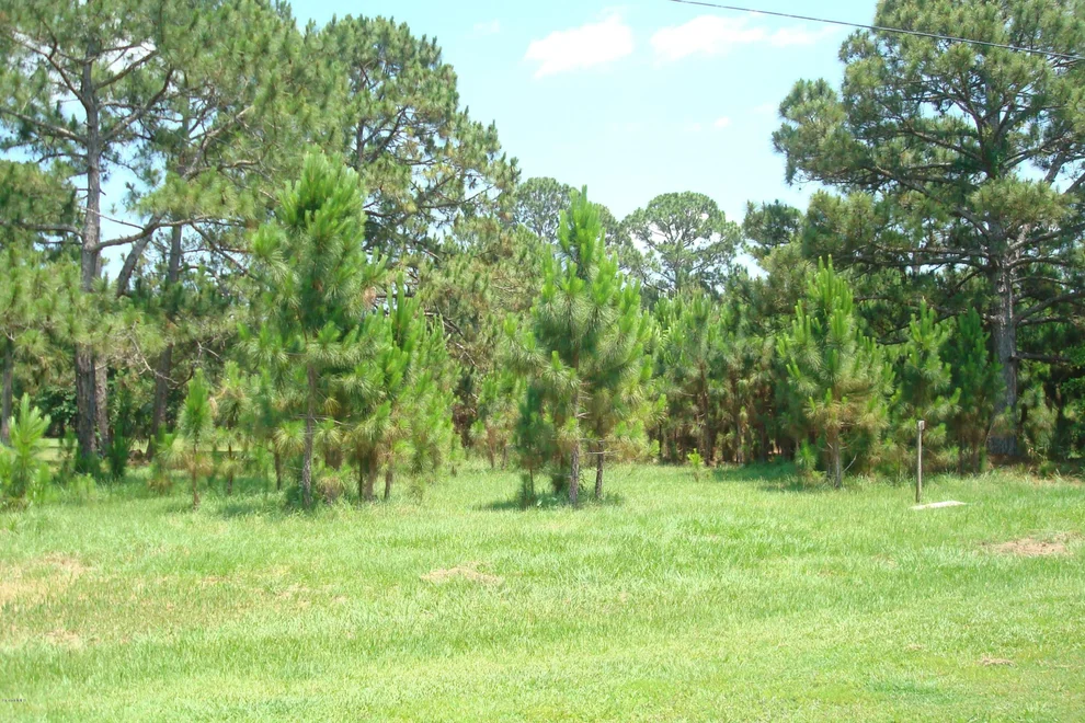 Unit for sale at 0 Pintail Court, Mims, FL 32754