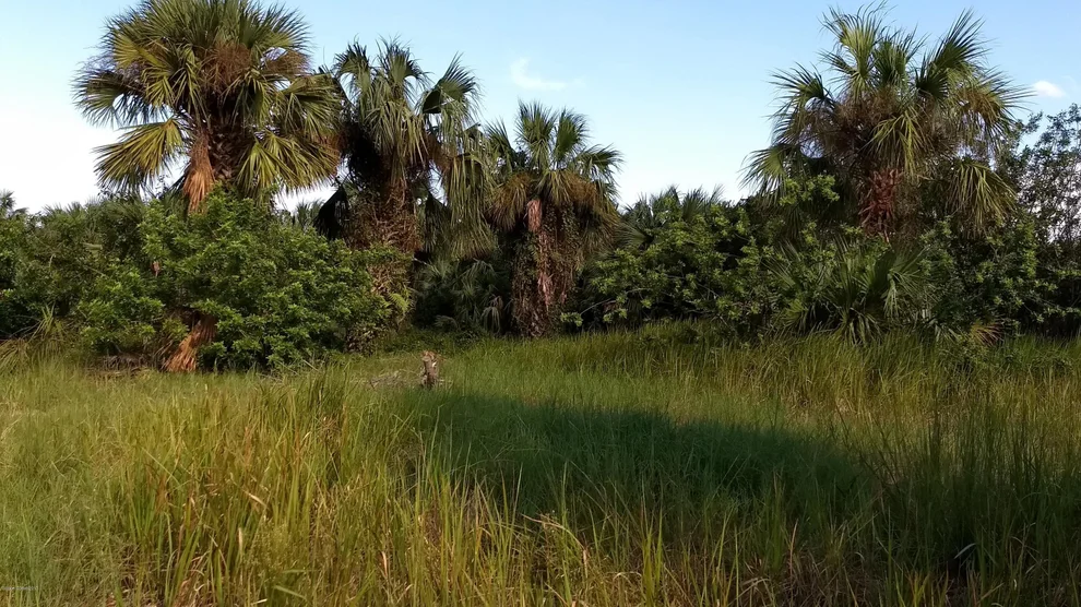 Unit for sale at 1991 Conkling Avenue SW, Palm Bay, FL 32908