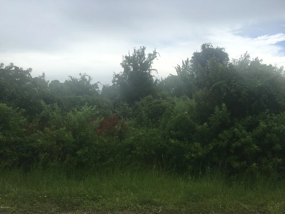 Unit for sale at 1614 Alcalay Street SE, Palm Bay, FL 32909