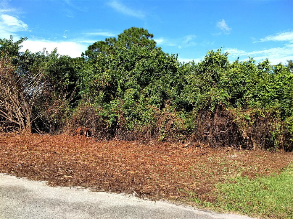 Unit for sale at 713 Corinne Avenue SE, Palm Bay, FL 32909