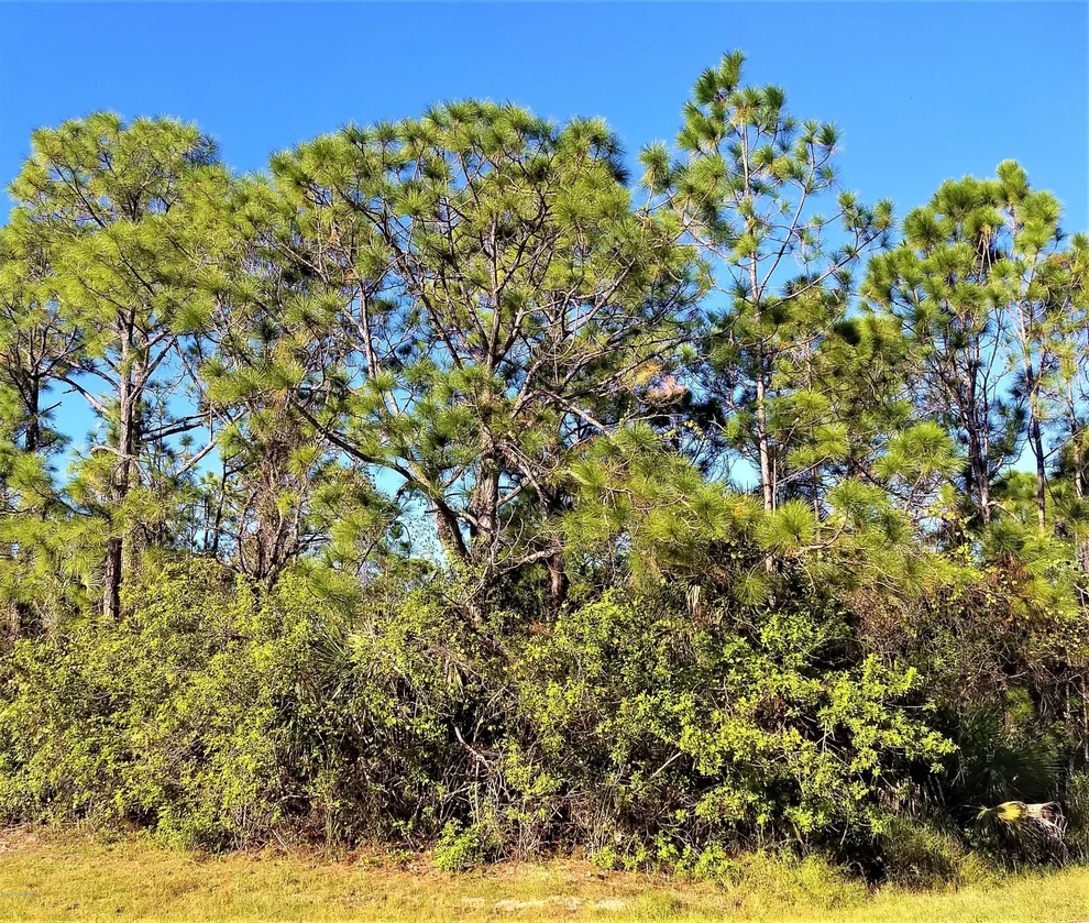 Unit for sale at 0 San Filippo Dr. & Ran Road SE, Palm Bay, FL 32909