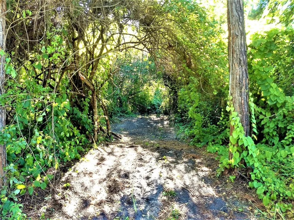 Unit for sale at 412 Calabria Lot Only Avenue SE, Palm Bay, FL 32909