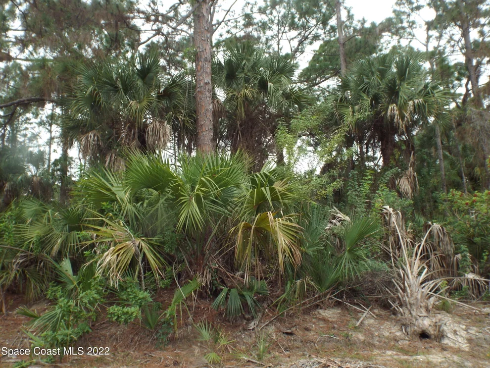 Unit for sale at 491 Hamer Road SW, Palm Bay, FL 32908