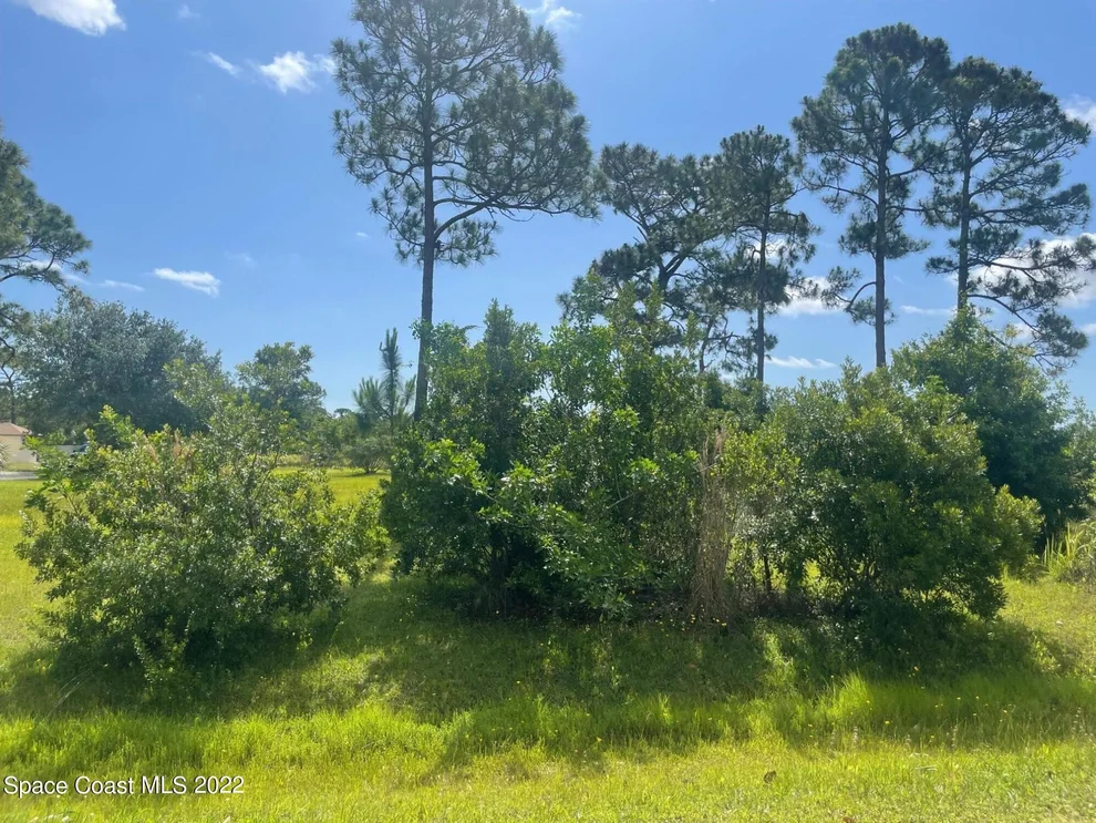 Unit for sale at Tbd #2 Macdonald Lane, Malabar, FL 32950