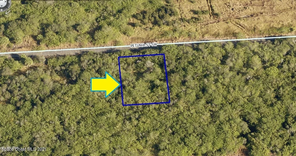 Unit for sale at 1574 Petunia Street SW, Palm Bay, FL 32908