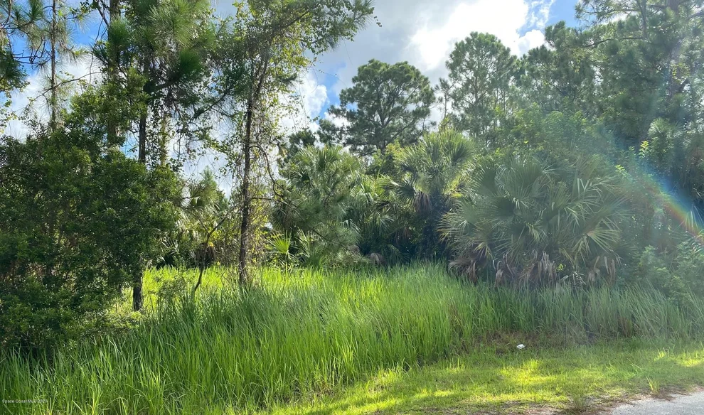 Unit for sale at 171 J T Sancho Street SW, Palm Bay, FL 32908
