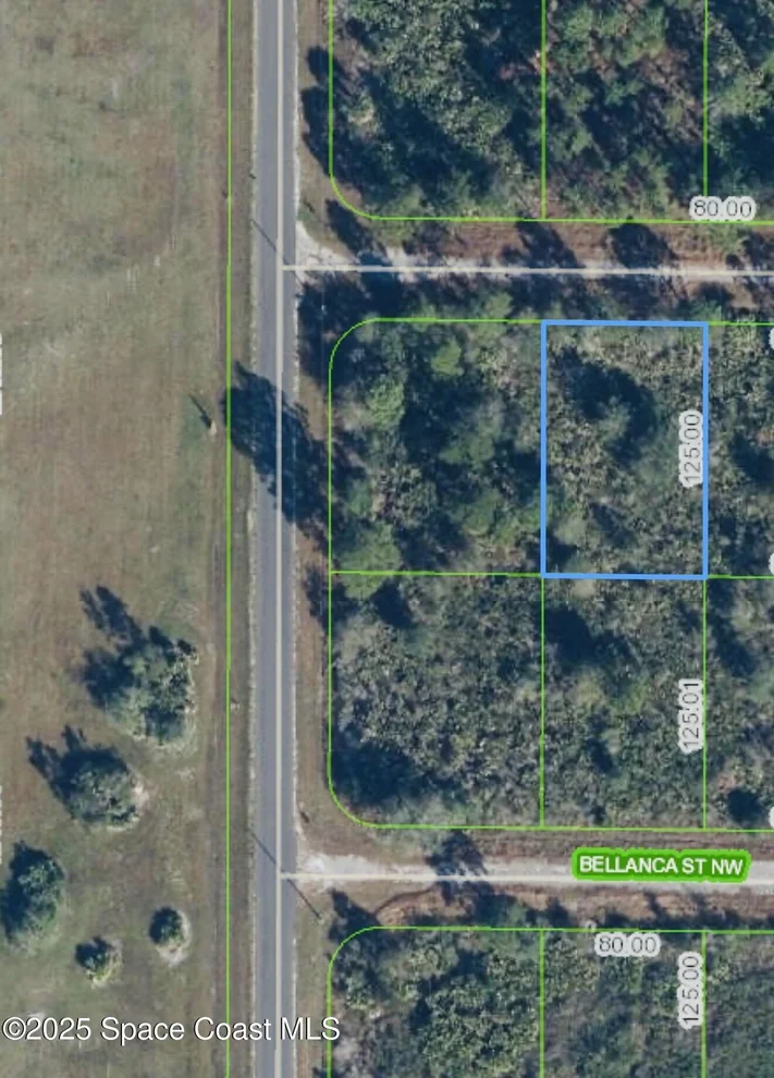 Unit for sale at 762 American Street NW, Lake Placid, FL 33852