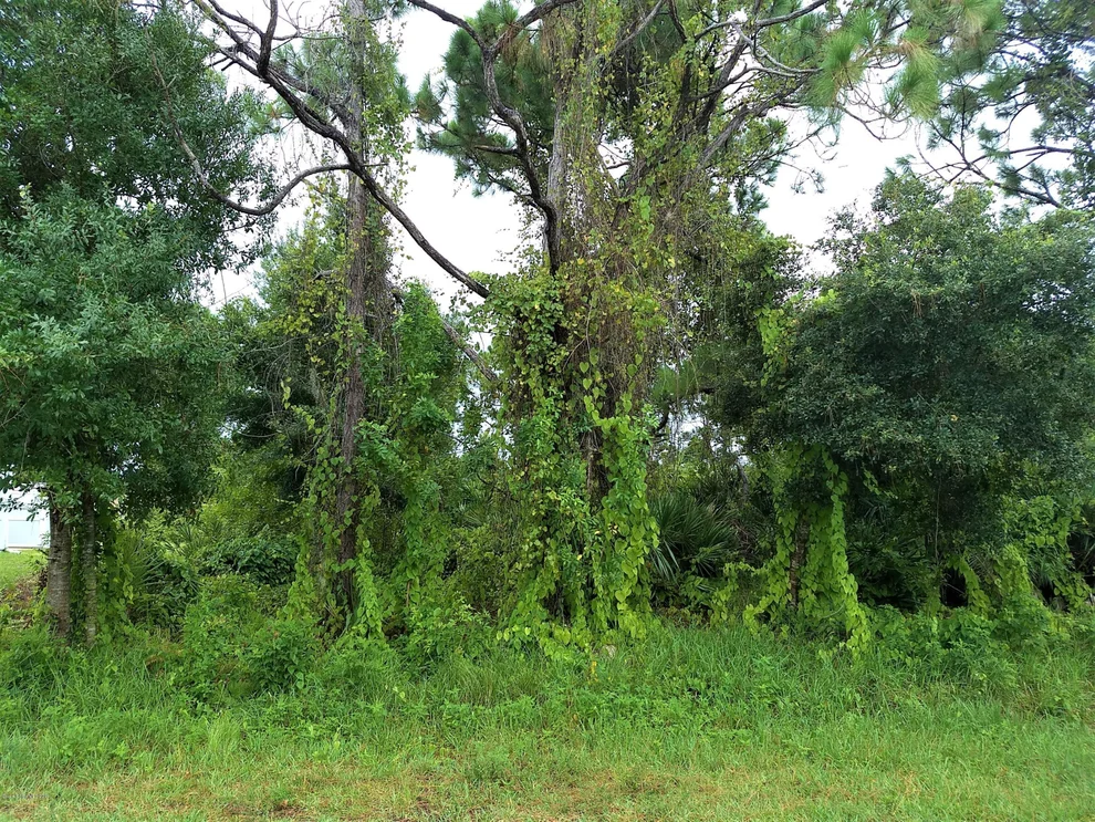 Unit for sale at 1384 Valerius Street SE, Palm Bay, FL 32909