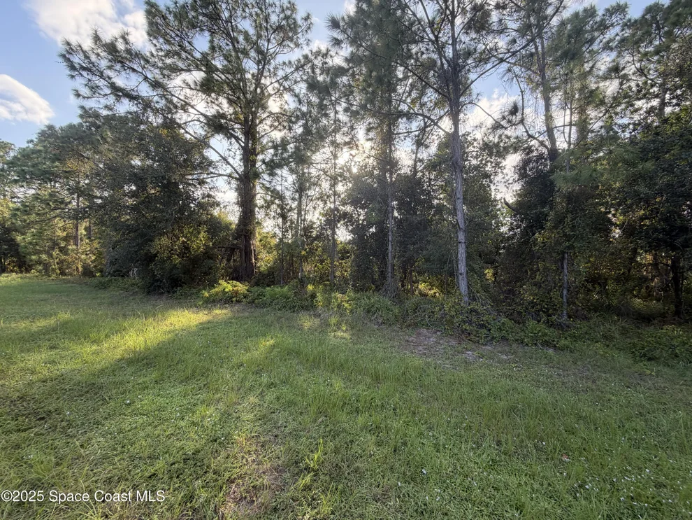 Unit for sale at 3900 Rambling Acres Drive, Titusville, FL 32796