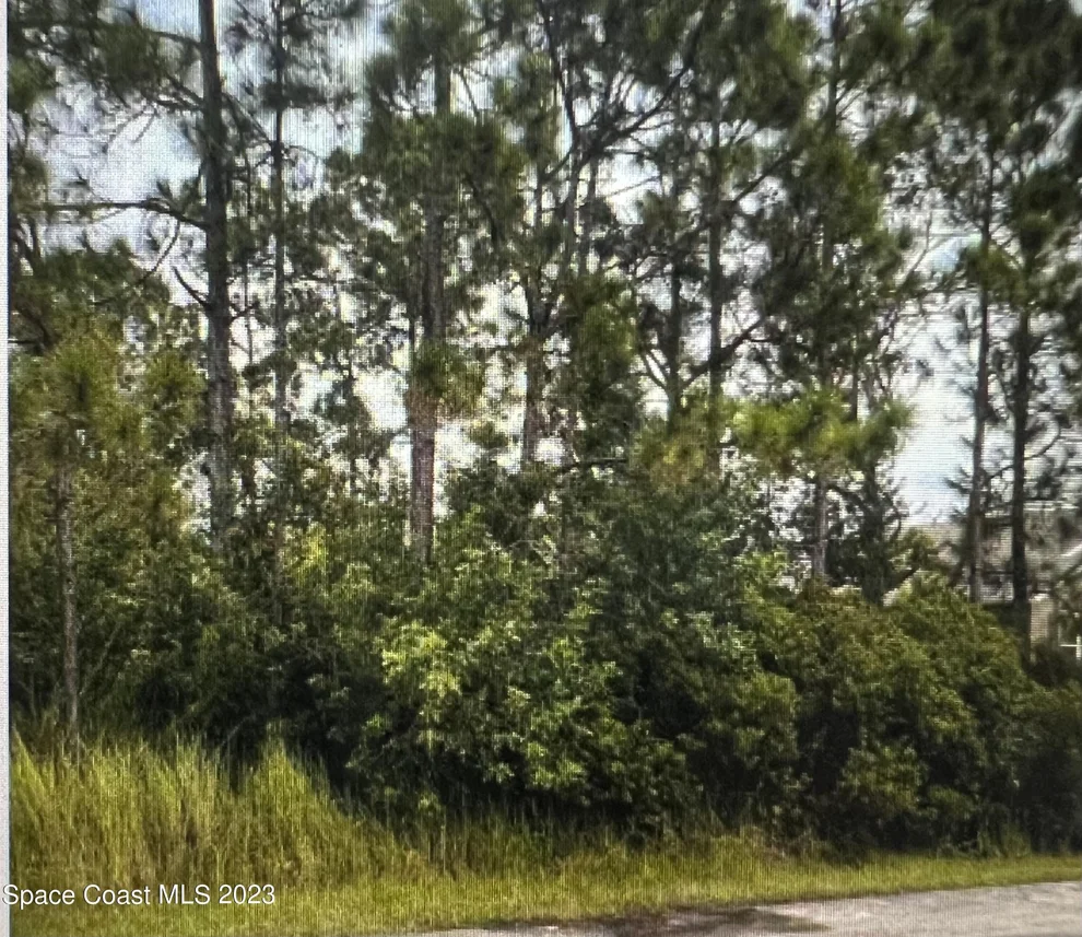 Unit for sale at 3142 Wessel Avenue SE, Palm Bay, FL 32909