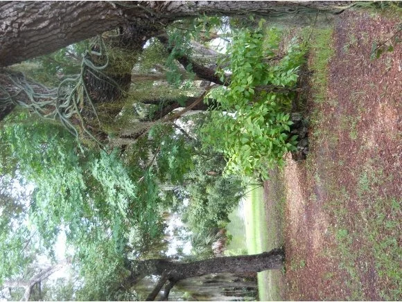 Unit for sale at 0 Herndon Circle, Palm Bay, FL 32905