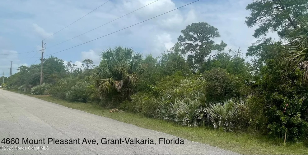Unit for sale at 4660 Mount Pleasant Avenue, Grant-Valkaria, FL 32949