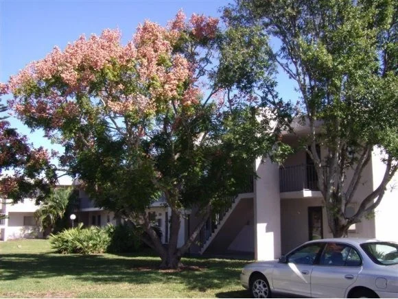 Unit for sale at 3001 Thrush, Melbourne, FL 32935