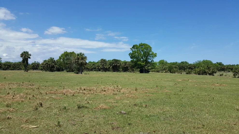Unit for sale at 0000 County Line Ditch Road, Mims, FL 32754