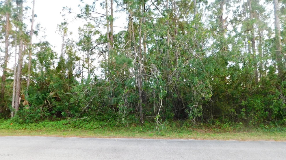 Unit for sale at 1336 Schneider Street SW, Palm Bay, FL 32908