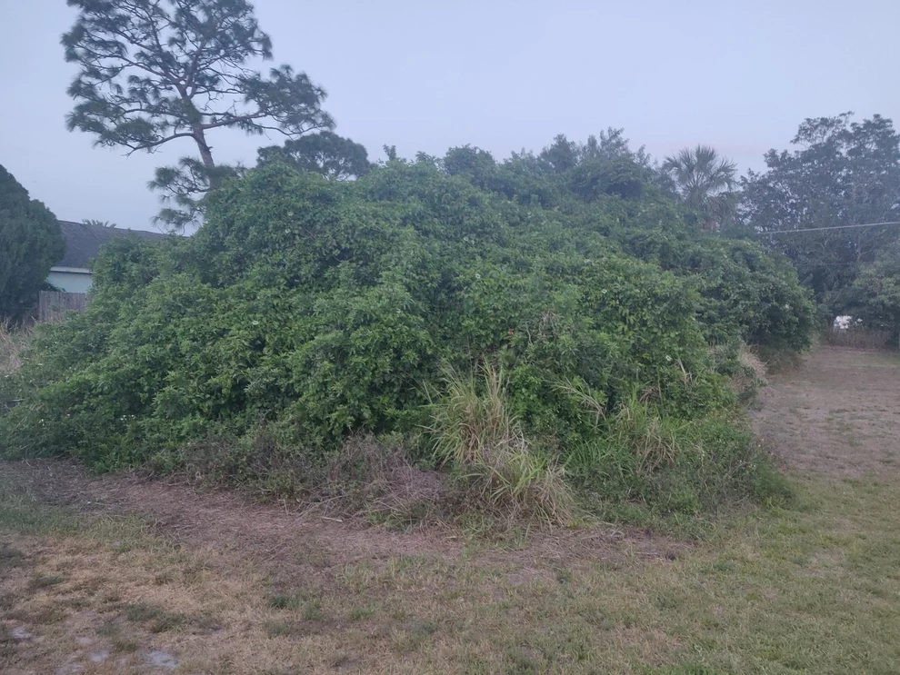Unit for sale at 791 Becker Avenue NE, Palm Bay, FL 32905
