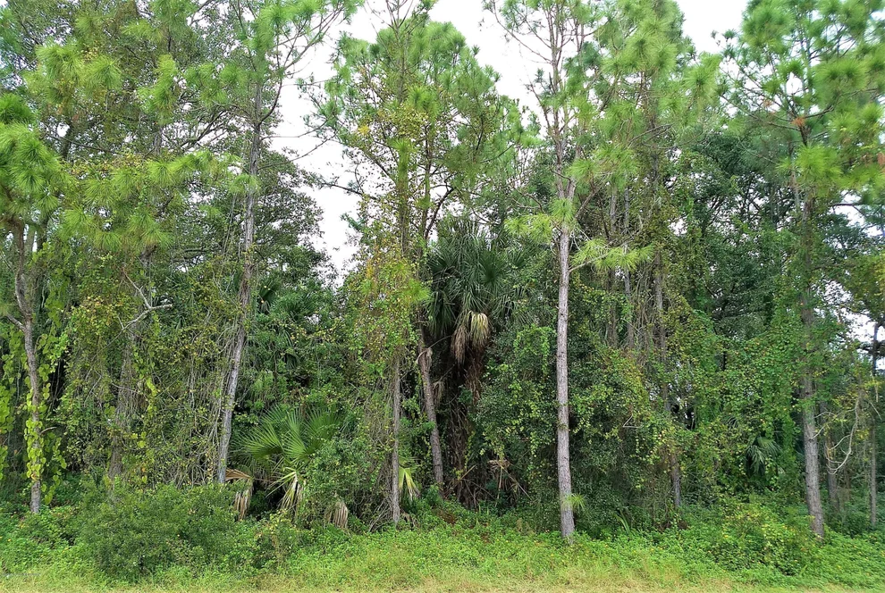 Unit for sale at 1060 Braddock Avenue SE, Palm Bay, FL 32909