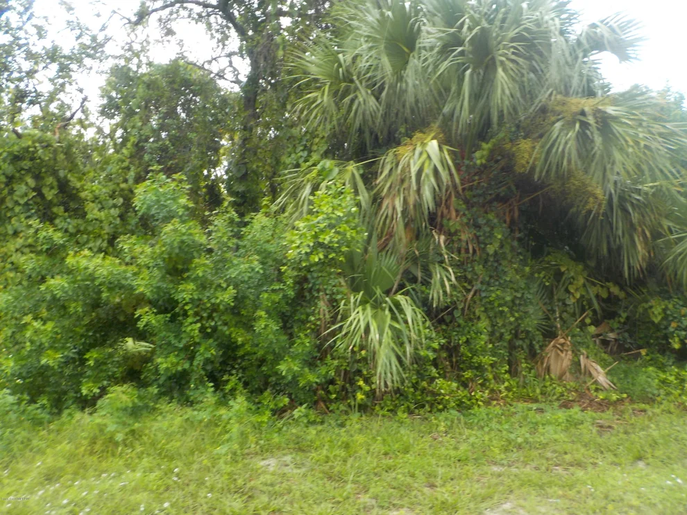 Unit for sale at 00 Bridge, Port Saint John, FL 32927
